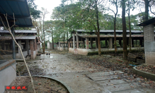 �ؑc�и���^����悽��u��1��2����i�����~���Y�a���u