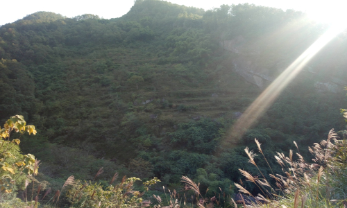 �ؑc���S���h�����(zh��n)���p���l(xi��ng)�����Ҝ��r(n��ng)�I(y��)�C���_�l(f��)�Ŀ���u