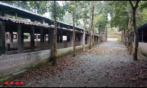 �ؑc�и���^����悽��u��1��2����i�����~���Y�a���u